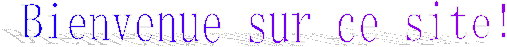Bienvenue sur ce site!