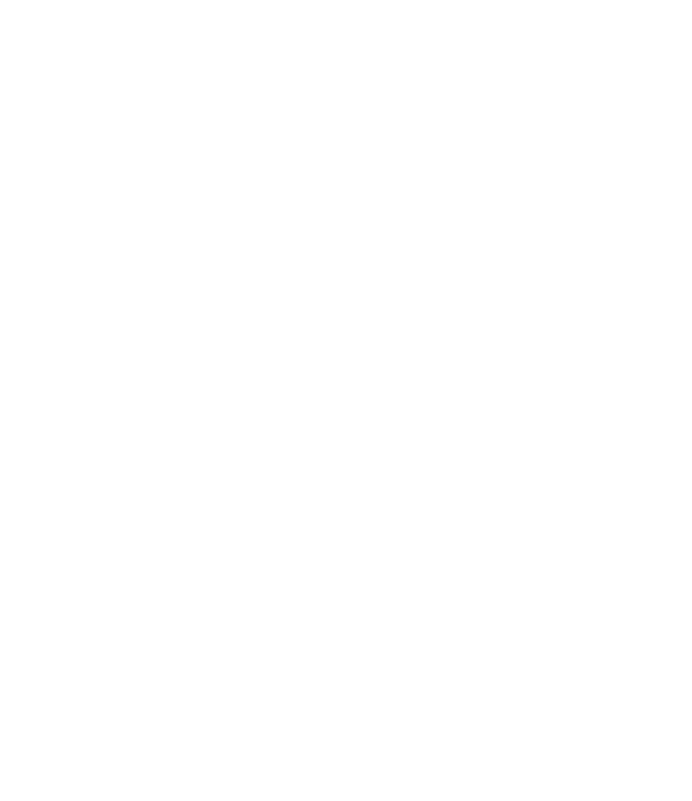 Centre historique minier